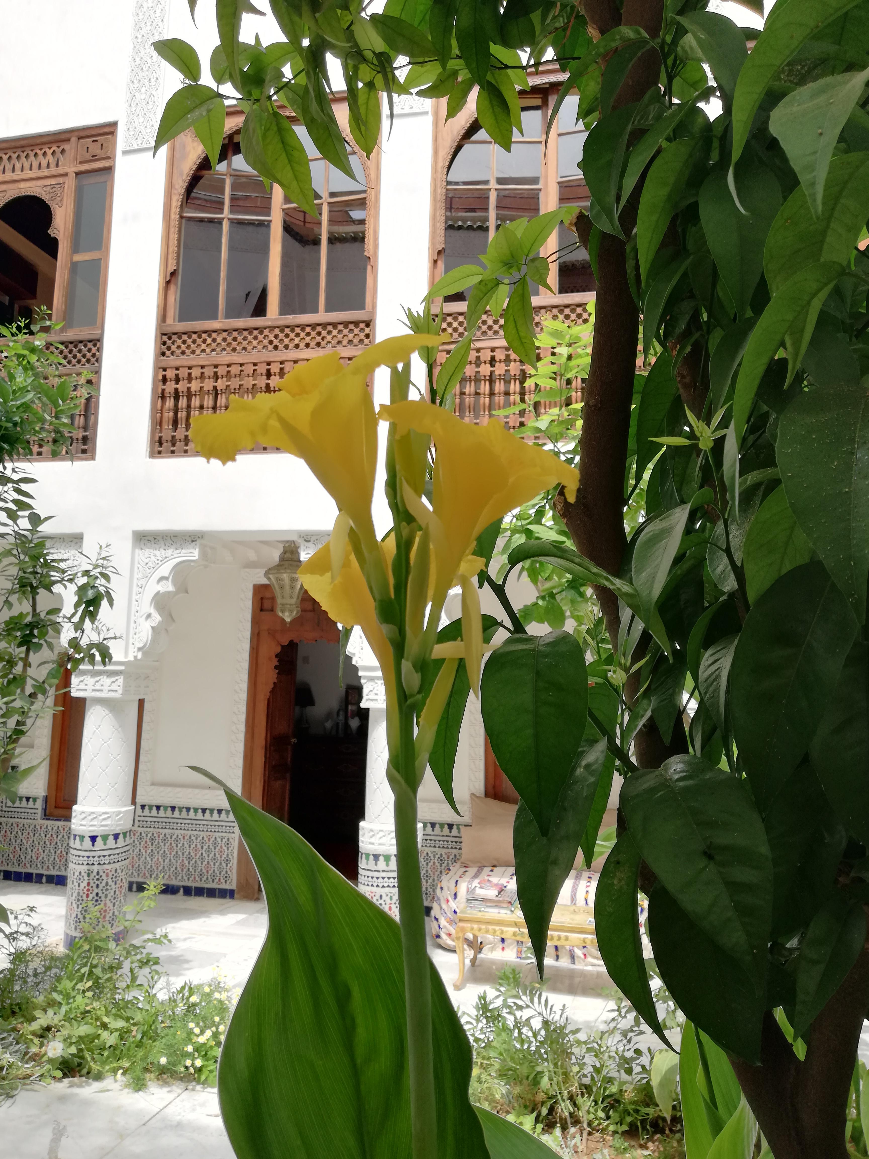Riad Ben Youssef Marrakesh Bagian luar foto
